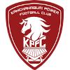 DP北碧logo